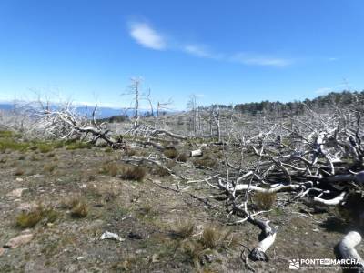 Perdiguera (El Marraz) - Altos de la Morcuera; club single madrid rutas de madrid casita del bosque 